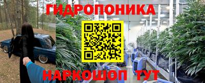 прущие крисы Аша