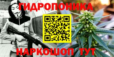 МДМА Ачхой-Мартан