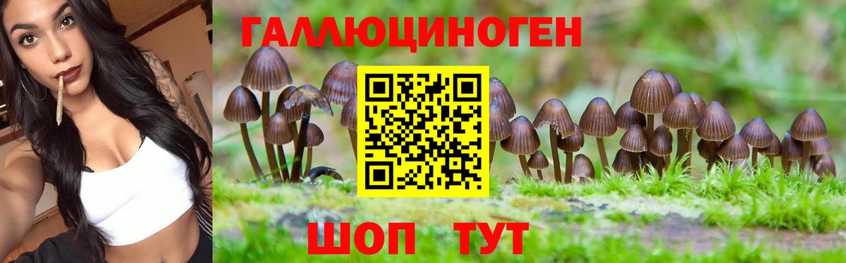 Галлюциногенные грибы MAGIC MUSHROOMS  Галлюциногенные грибы Psilocybe  Вход с VPN  Белово 
