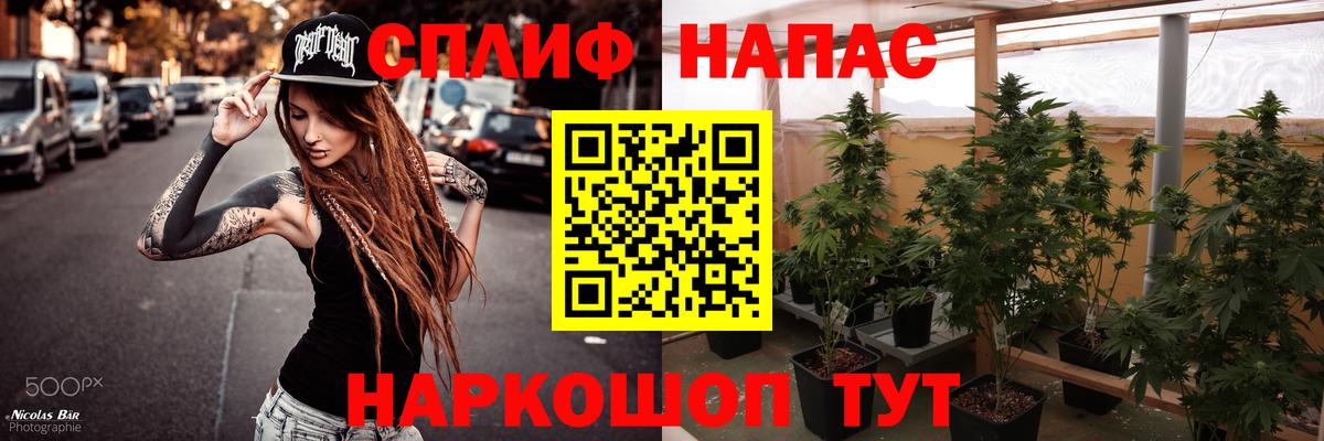 Конопля THC 21%  Бошки марихуана план  Конопля марихуана  Вход с VPN  Белово 